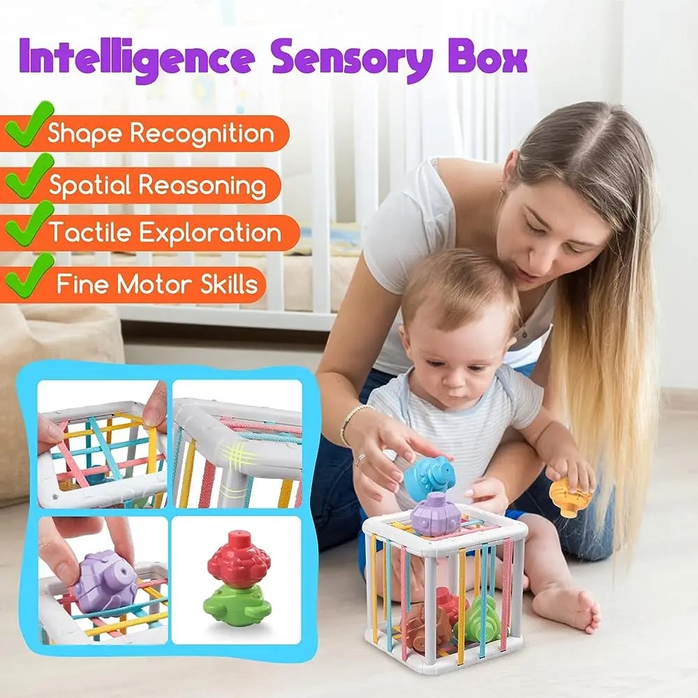 Gökkuşağı Renkli Montessori Şe - Kids Education Toys incelemesi ve fiyatı